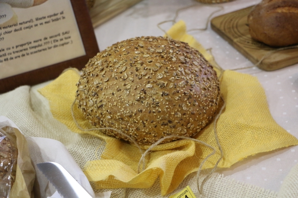 I díj: Gheambazu Florin Nicolae – Megasimitis Srl, Konstanca paineartizanala2018